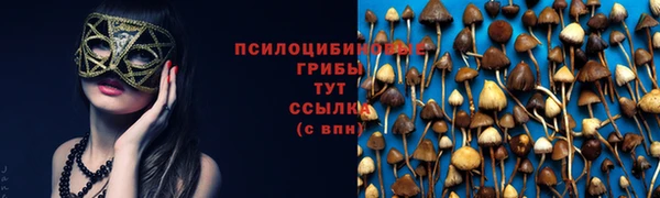 амф Балахна