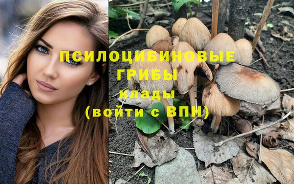 амф Балахна