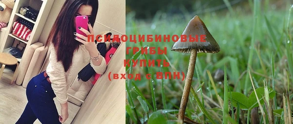 амф Балахна