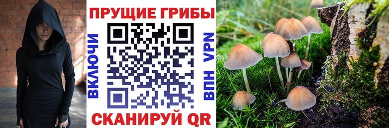 Псилоцибиновые грибы Psilocybine cubensis  как найти наркотики  Новый Оскол 